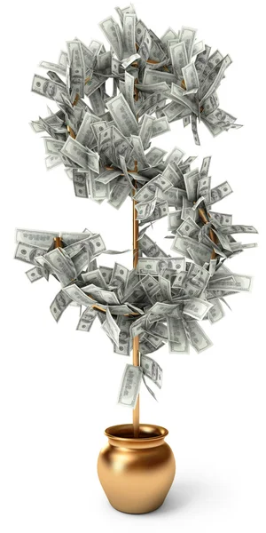 Dollaro cresce su un albero — Foto Stock