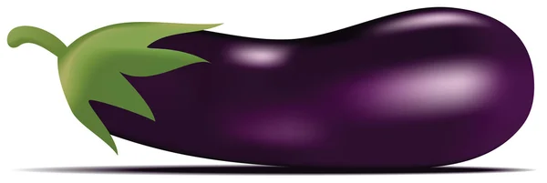 Eggplant in vector — Stock Vector