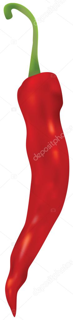 Red hot chili pepper in vector