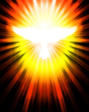 Shining dove with rays clipart