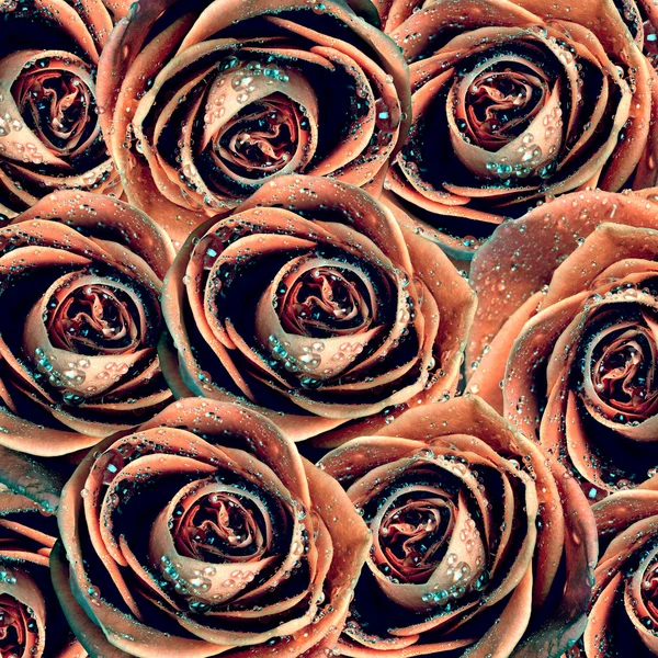 Fundo dos namorados com rosas — Fotografia de Stock