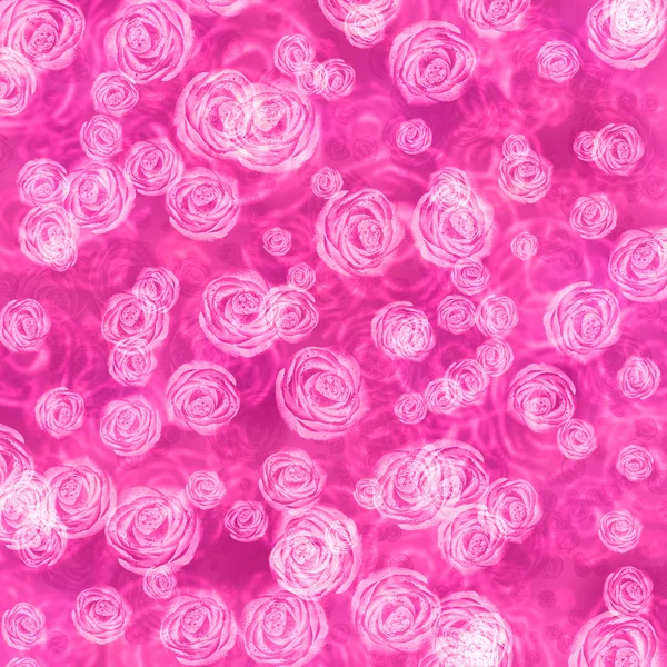 Fundo floral com rosas rosa — Fotografia de Stock