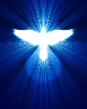 Glowing dove against blue rays clipart