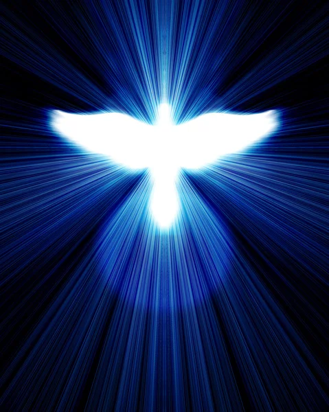 Glowing dove against blue rays — Stock Photo, Image