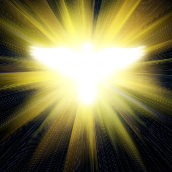 Shining dove against golden rays — Stock Photo, Image