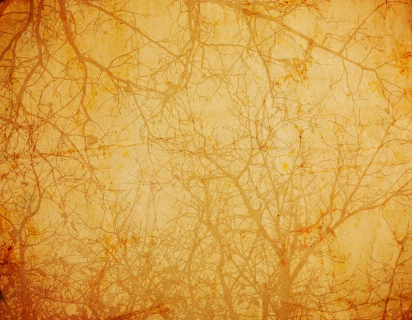 Vintage background with tree branches — Stock Photo, Image