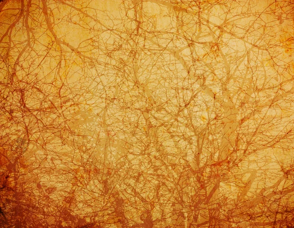 木の枝とビンテージ背景 — ストック写真
