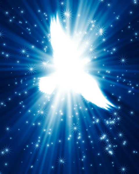 Flying dove against glowing background — Stock Photo, Image