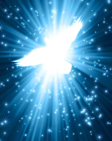 Летящий голубь на светящемся фоне — стоковое фото