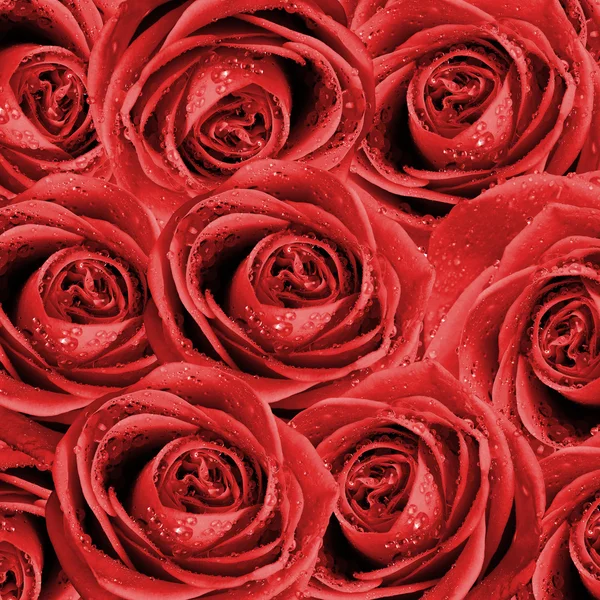 Фон Валентина с розами — стоковое фото