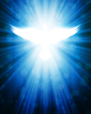 Shining dove with rays clipart