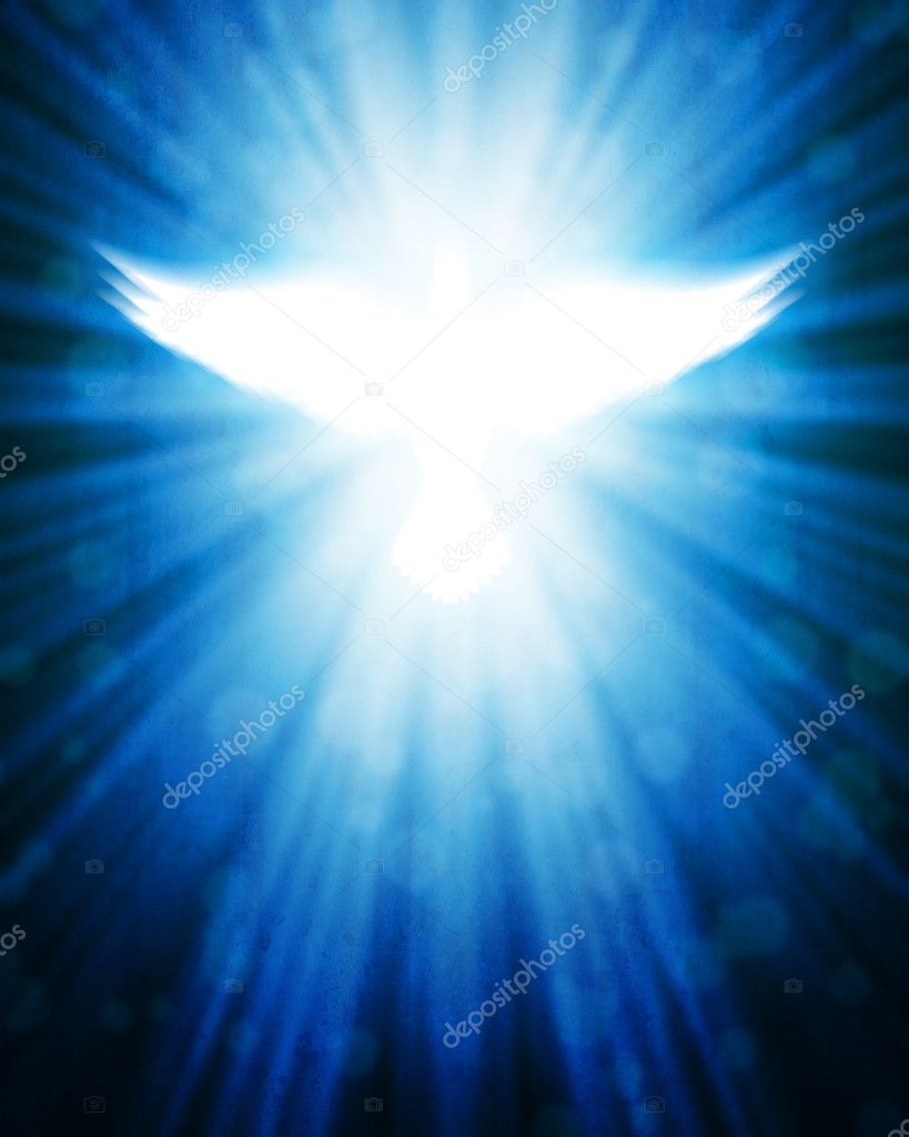 Shining dove with rays
