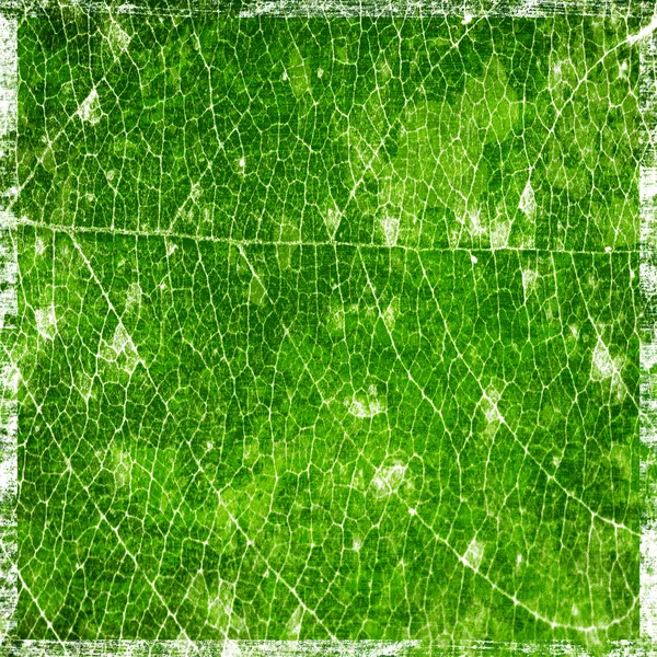 Grunge background with leaf texture — Stock Photo, Image
