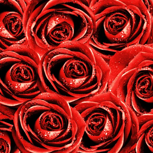 Alla hjärtans bakgrunden med rosor — Stockfoto