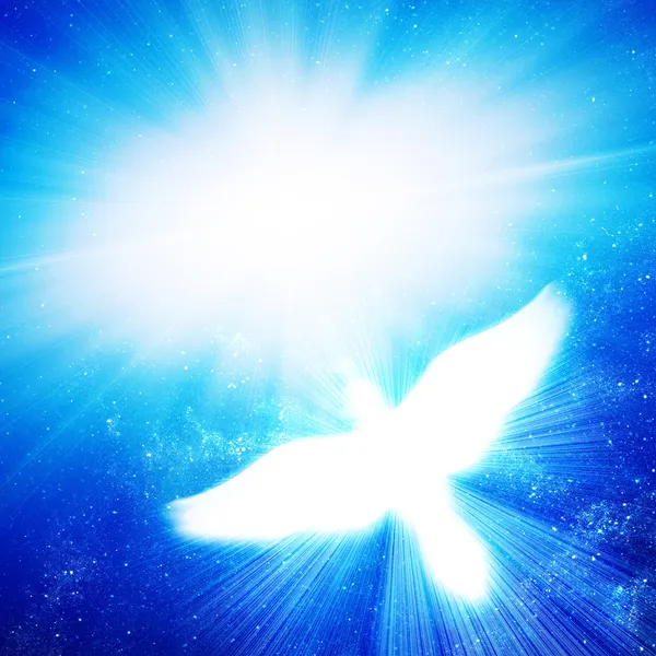 Leuchtende Taube gegen blaue Strahlen — Stockfoto