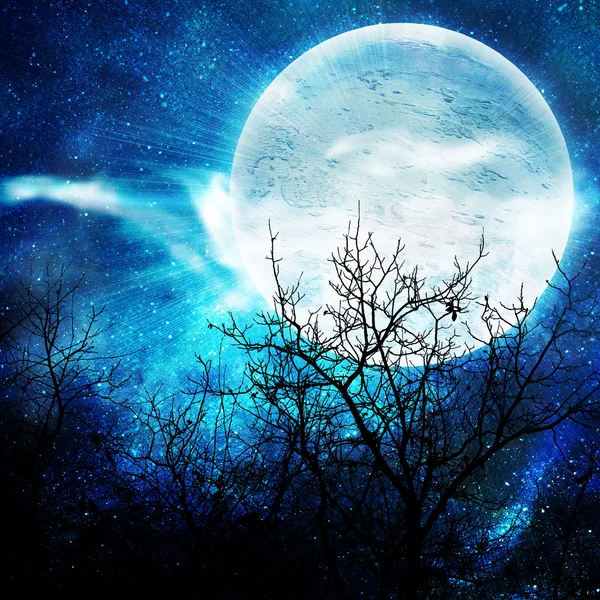 夜与傻瓜月亮的插图 — 图库照片
