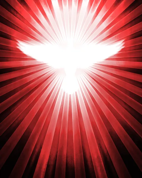 Shining dove with rays — Stock Photo, Image