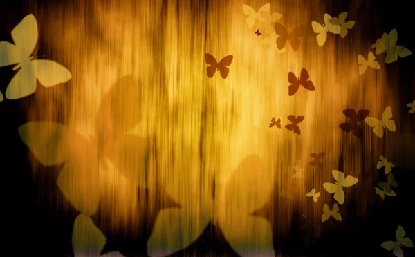 色彩缤纷的蝴蝶 — 图库照片