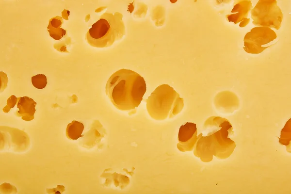 Achtergrond van verse Zwitserse kaas — Stockfoto