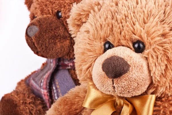 泰迪熊玩具图片 — 图库照片