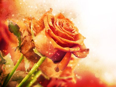 Background with red roses clipart