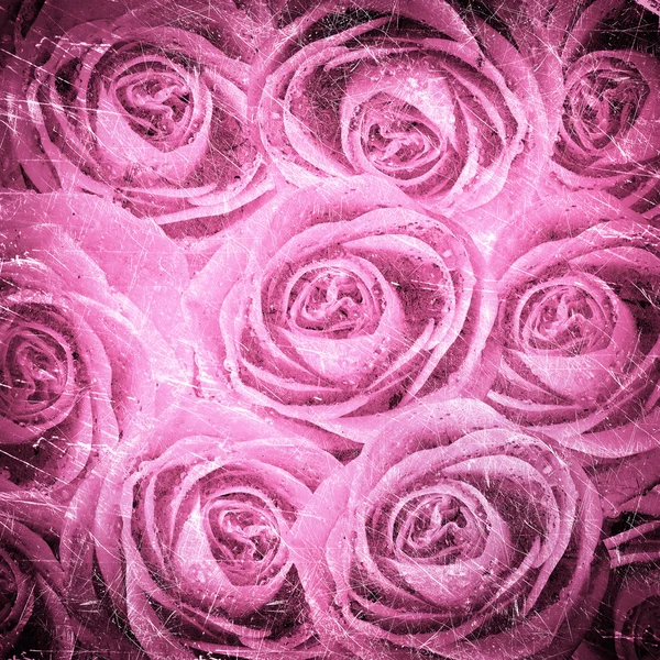 Valentýnský pozadí s růží — Stock fotografie