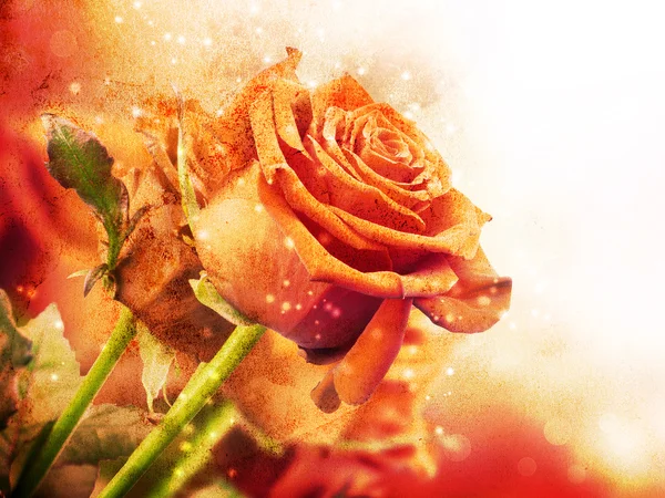 Achtergrond met rode rozen — Stockfoto