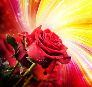 Background with red roses clipart