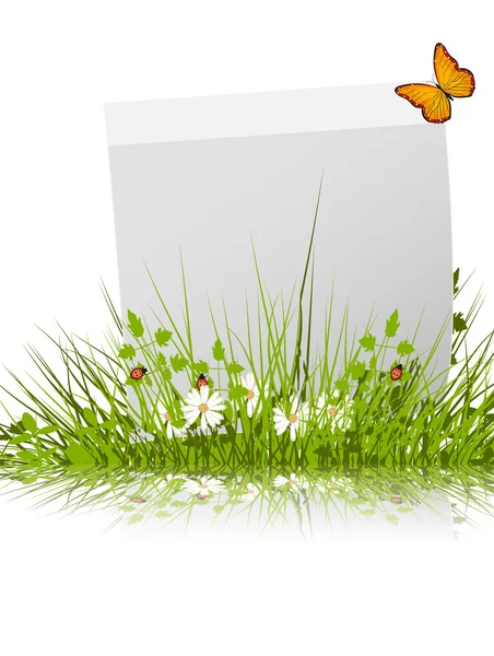 Cadre en papier avec herbe — Image vectorielle