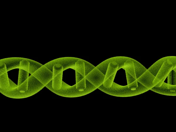 3D рендер ДНК, травяной дизайн — стоковое фото