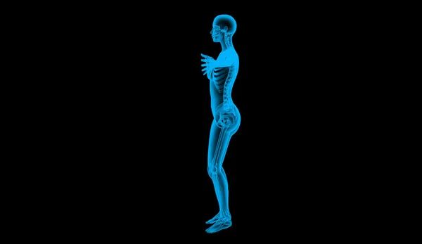 Menselijk lichaam links door x-ray, 3d render — Stockfoto
