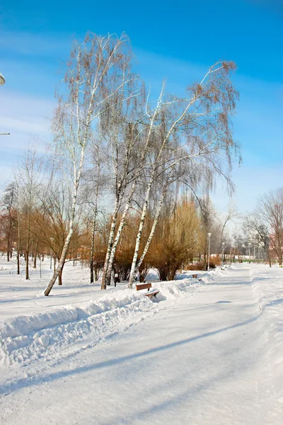 Karlı kış manzarası — Stok fotoğraf