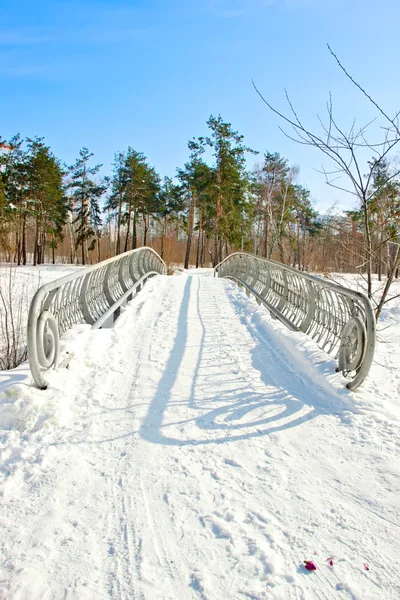 Krajobraz zimowy ze śniegiem — Zdjęcie stockowe