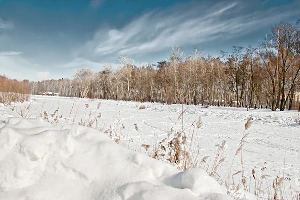 Paisagem de inverno com neve — Fotografia de Stock