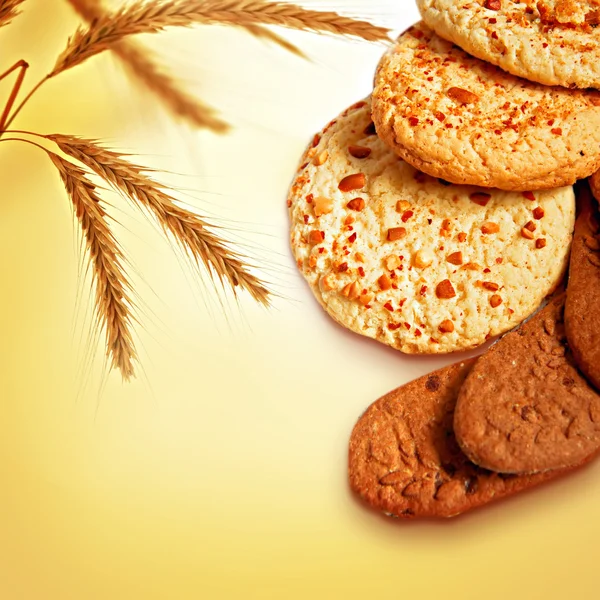 チョコレートとナッツのクッキー — ストック写真