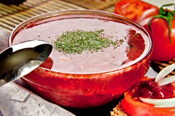 Sopa de cozinha russa — Fotografia de Stock