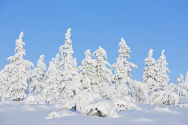 Finlandiya Kış