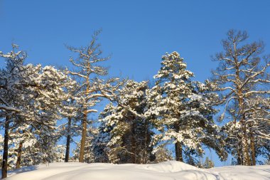 Finlandiya Kış