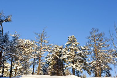 Finlandiya Kış