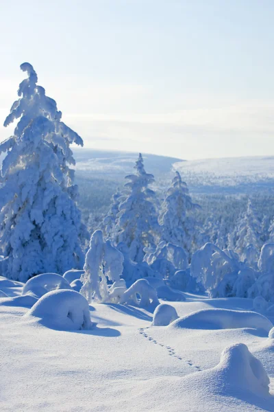 Invierno en el finland —  Fotos de Stock