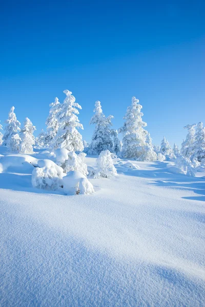 Télen a finn — Stock Fotó