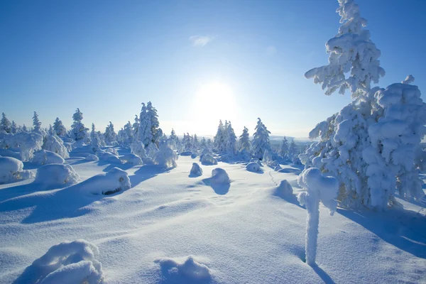 Winter in de Finse — Stockfoto