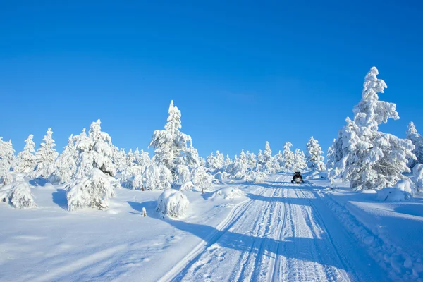 在芬兰的冬天 — 图库照片