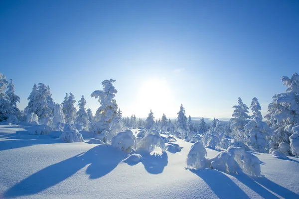 Inverno na Finlândia — Fotografia de Stock