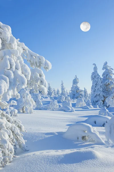 Χειμώνας στη Φινλανδία το — Φωτογραφία Αρχείου
