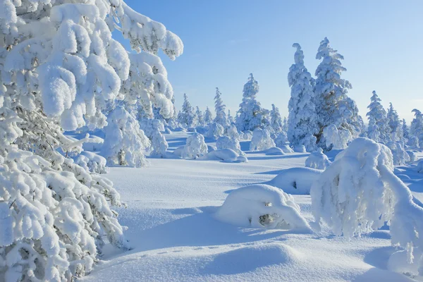 Inverno na Finlândia — Fotografia de Stock
