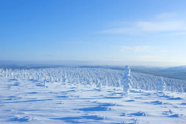 Vinter i finland — Stockfoto