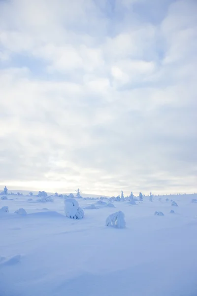Invierno en el finland — Foto de Stock