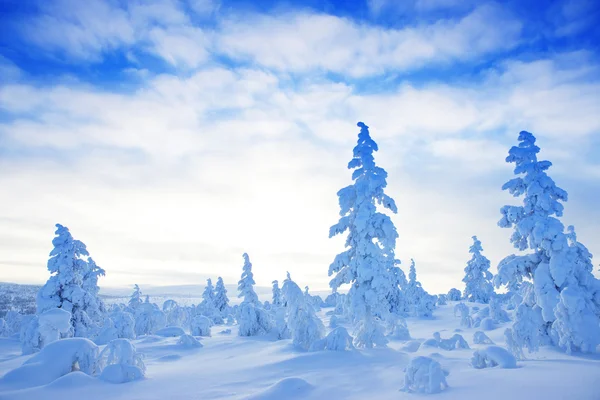 Winter in Finnland — Stockfoto