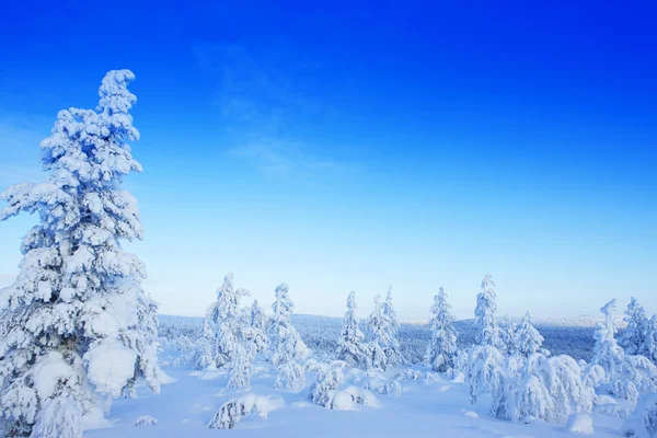 Inverno na Finlândia — Fotografia de Stock